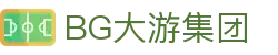BG大游(集团)唯一官方网站